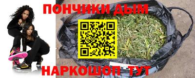 крисы Краснознаменск
