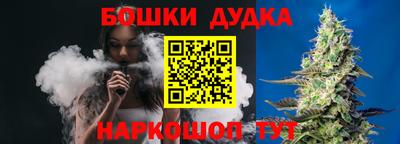 крисы Краснознаменск