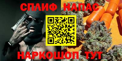 крисы Краснознаменск