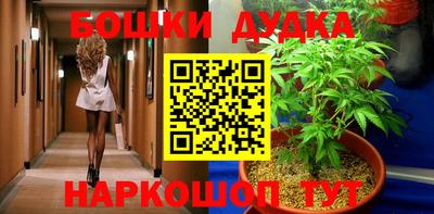 крисы Краснознаменск