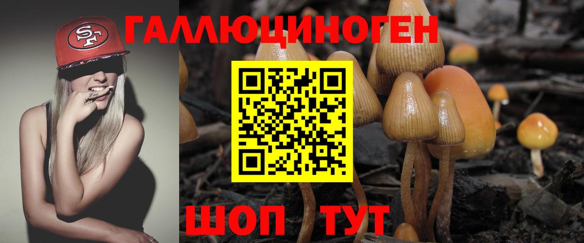 Ефремов  Псилоцибиновые грибы мухоморы  Вход с VPN 