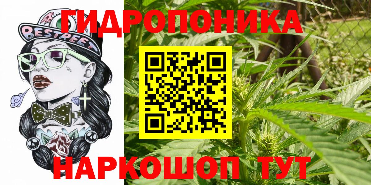 Марихуана семена Ефремов